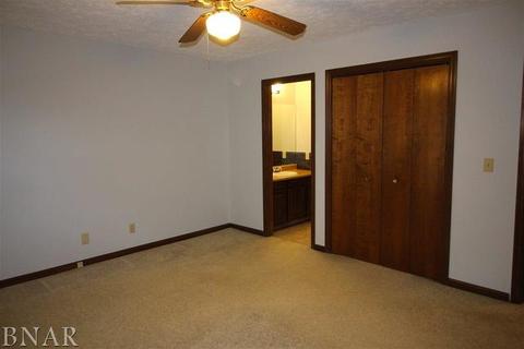 217 S Hershey, Bloomington, IL 61704 photo 12