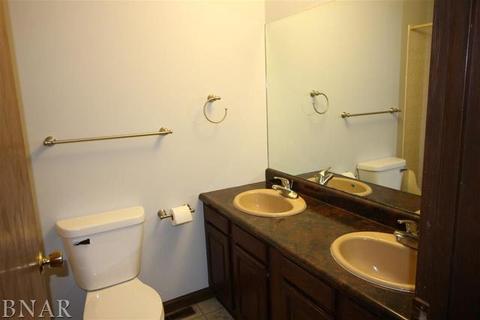 217 S Hershey, Bloomington, IL 61704 photo 14