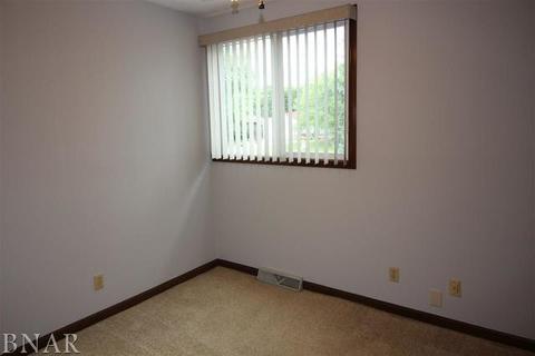 217 S Hershey, Bloomington, IL 61704 photo 9