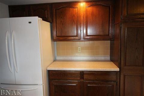 217 S Hershey, Bloomington, IL 61704 photo 7
