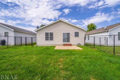 1109 Rader Run, Bloomington, IL 61704 photo 31