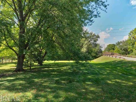 1201 S Linden, Normal, IL 61761 photo 26