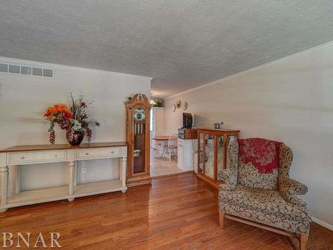 101 Sandra Ln, Normal, IL 61761 photo 16