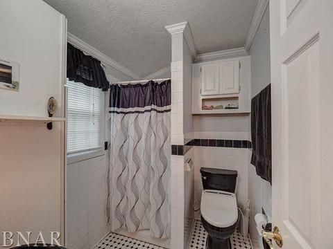 101 Sandra Ln, Normal, IL 61761 photo 27