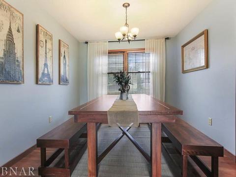 1407 Donegal Dr, Normal, IL 61761 photo 9