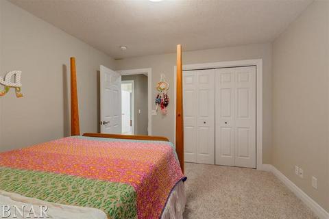 6 Carney Ct, Bloomington, IL 61704 photo 28