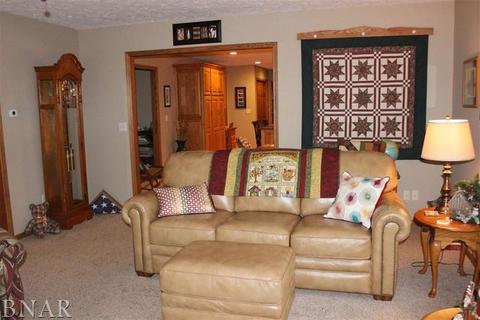 109 E Ninth, Gridley, IL 61744 photo 20