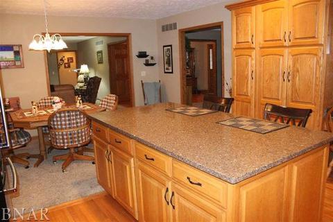 109 E Ninth, Gridley, IL 61744 photo 9