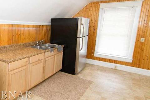 521 E Mulberry, Bloomington, IL 61701 photo 21