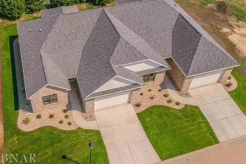 8 Bent Ct, Bloomington, IL 61704 photo 30