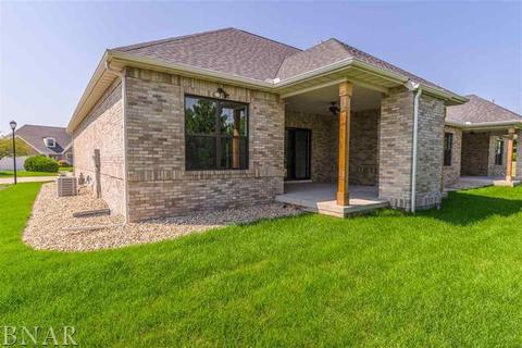 8 Bent Ct, Bloomington, IL 61704 photo 31