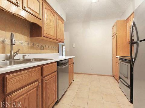 2802 E Lincoln #2A, Bloomington, IL 61704 photo 11