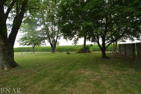 31224 Center, Chenoa, IL 61726 photo 22