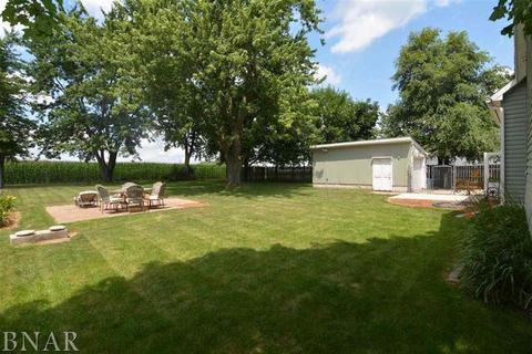 31224 Center, Chenoa, IL 61726 photo 20