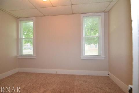 31224 Center, Chenoa, IL 61726 photo 14