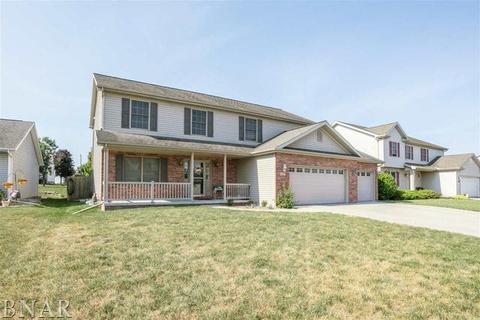 401 Gambel Ct, Normal, IL 61761 photo 17
