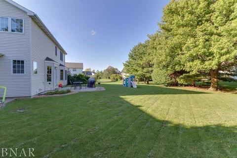 1910 Towanda, Normal, IL 61761 photo 39