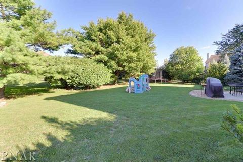 1910 Towanda, Normal, IL 61761 photo 37