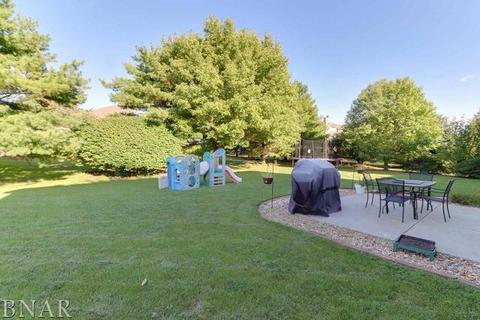1910 Towanda, Normal, IL 61761 photo 41