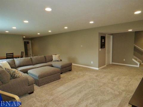 503 Raef Rd, Downs, IL 61736 photo 42