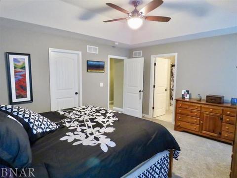 503 Raef Rd, Downs, IL 61736 photo 16