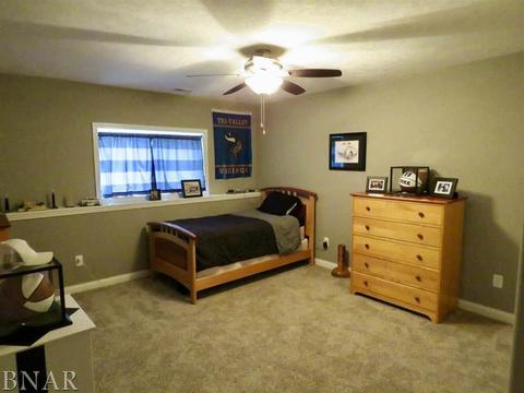 503 Raef Rd, Downs, IL 61736 photo 26