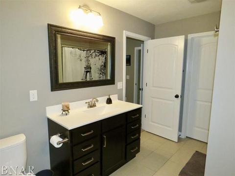 503 Raef Rd, Downs, IL 61736 photo 17