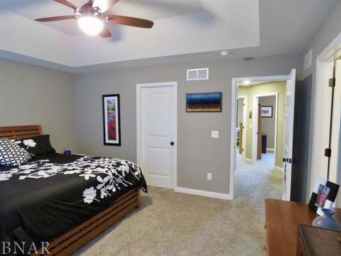503 Raef Rd, Downs, IL 61736 photo 38