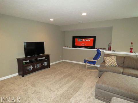 503 Raef Rd, Downs, IL 61736 photo 41