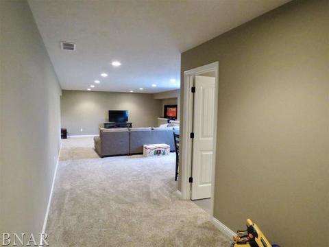 503 Raef Rd, Downs, IL 61736 photo 29
