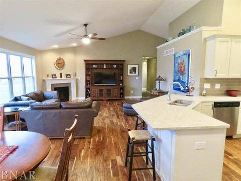 503 Raef Rd, Downs, IL 61736 photo 8