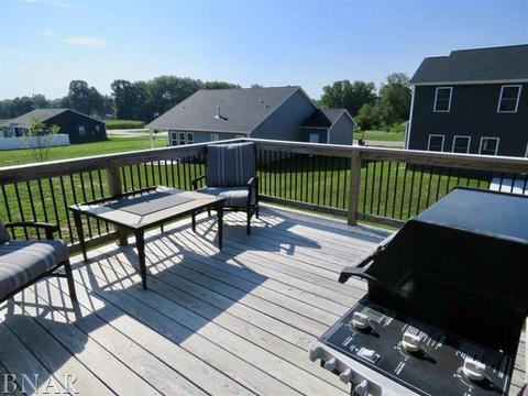 503 Raef Rd, Downs, IL 61736 photo 32