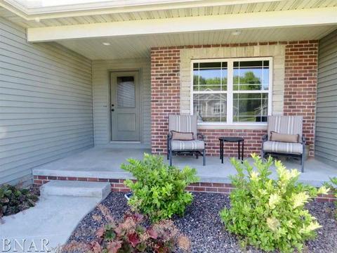 503 Raef Rd, Downs, IL 61736 photo 2