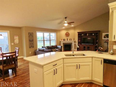 503 Raef Rd, Downs, IL 61736 photo 34