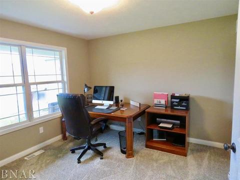 503 Raef Rd, Downs, IL 61736 photo 20