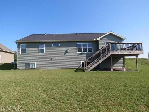 503 Raef Rd, Downs, IL 61736 photo 33