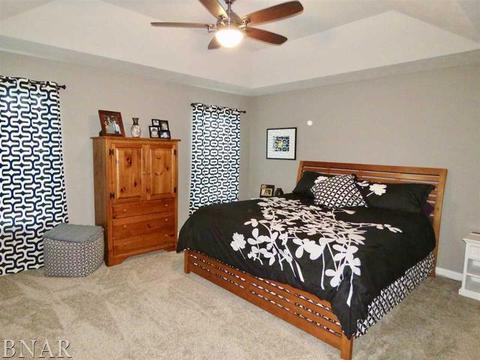503 Raef Rd, Downs, IL 61736 photo 15