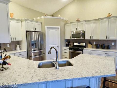 503 Raef Rd, Downs, IL 61736 photo 6
