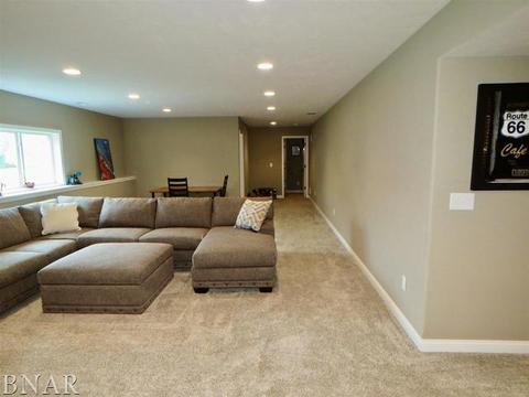 503 Raef Rd, Downs, IL 61736 photo 43