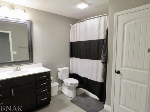 503 Raef Rd, Downs, IL 61736 photo 28