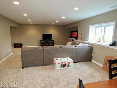 503 Raef Rd, Downs, IL 61736 photo 25