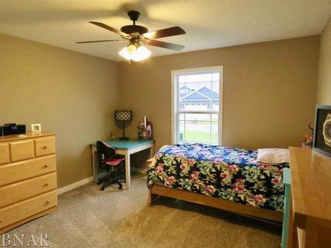 503 Raef Rd, Downs, IL 61736 photo 21