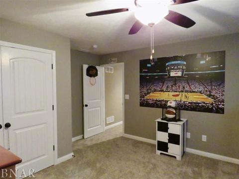 503 Raef Rd, Downs, IL 61736 photo 39