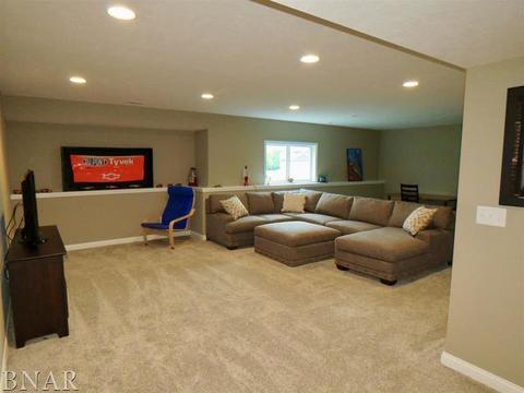 503 Raef Rd, Downs, IL 61736 photo 24