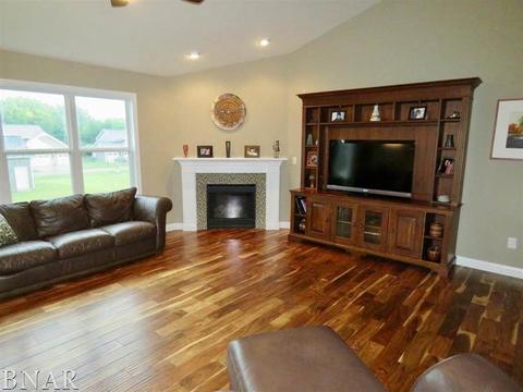 503 Raef Rd, Downs, IL 61736 photo 35