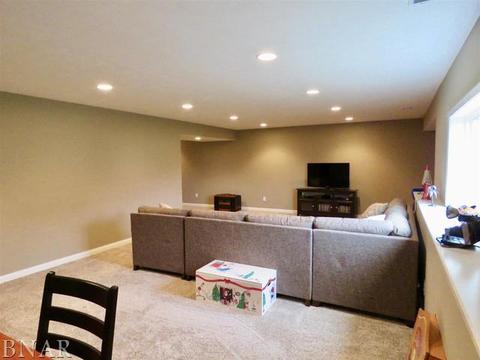 503 Raef Rd, Downs, IL 61736 photo 40