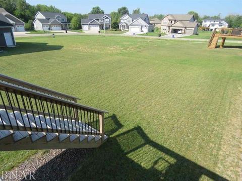 503 Raef Rd, Downs, IL 61736 photo 31