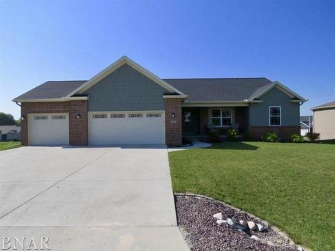 503 Raef Rd, Downs, IL 61736 photo 1