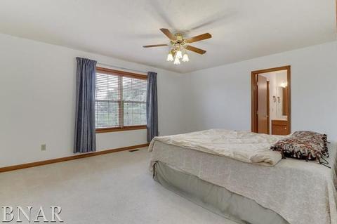 1507 Dublin, Normal, IL 61761 photo 16