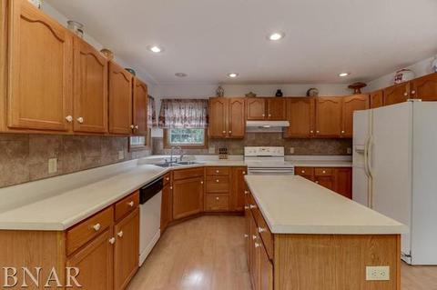 1507 Dublin, Normal, IL 61761 photo 4